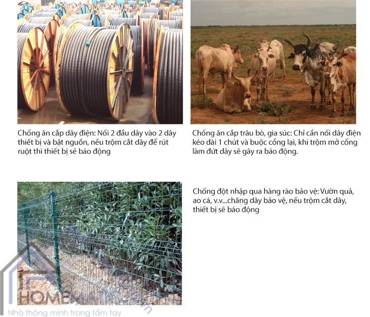 Báo động ngắt kết nối V2