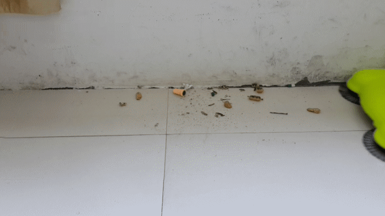 chổi kiêm hót rác