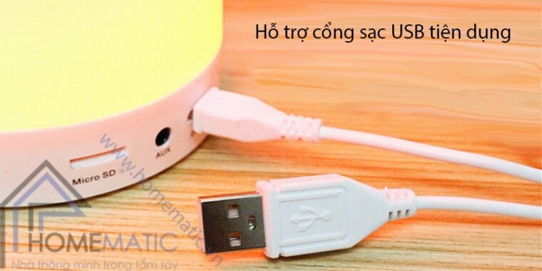 ZG 200 sac usb