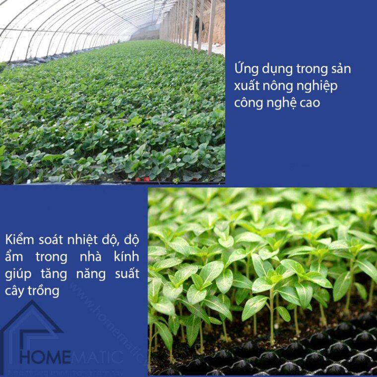 o cam 2 cong STH2 san xuat nong nghiep