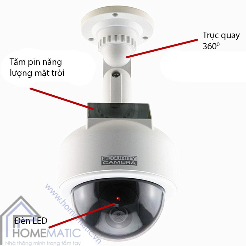 CAFV41 giai thich san pham