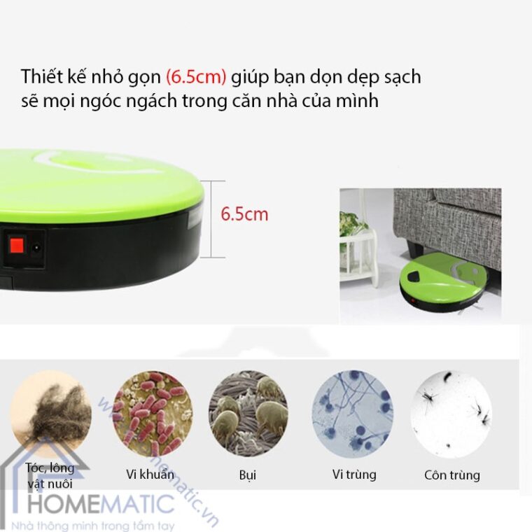 evertop thiet ke mong