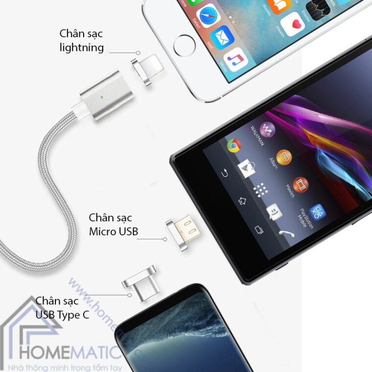 UDC31 3 loai chan sac