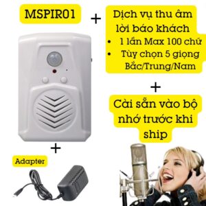 Chuông Báo Khách Phát Nhạc Hỗ Trợ Tiếng Việt Mspir01