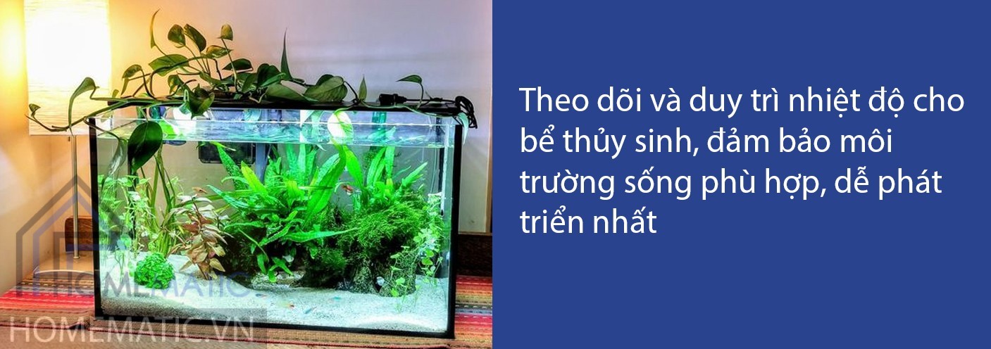 Ổ cắm cảm biến nhiệt độ chính xác AC112