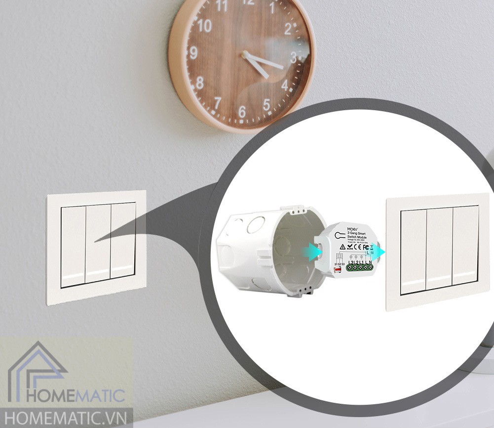 21155157172_1889410671