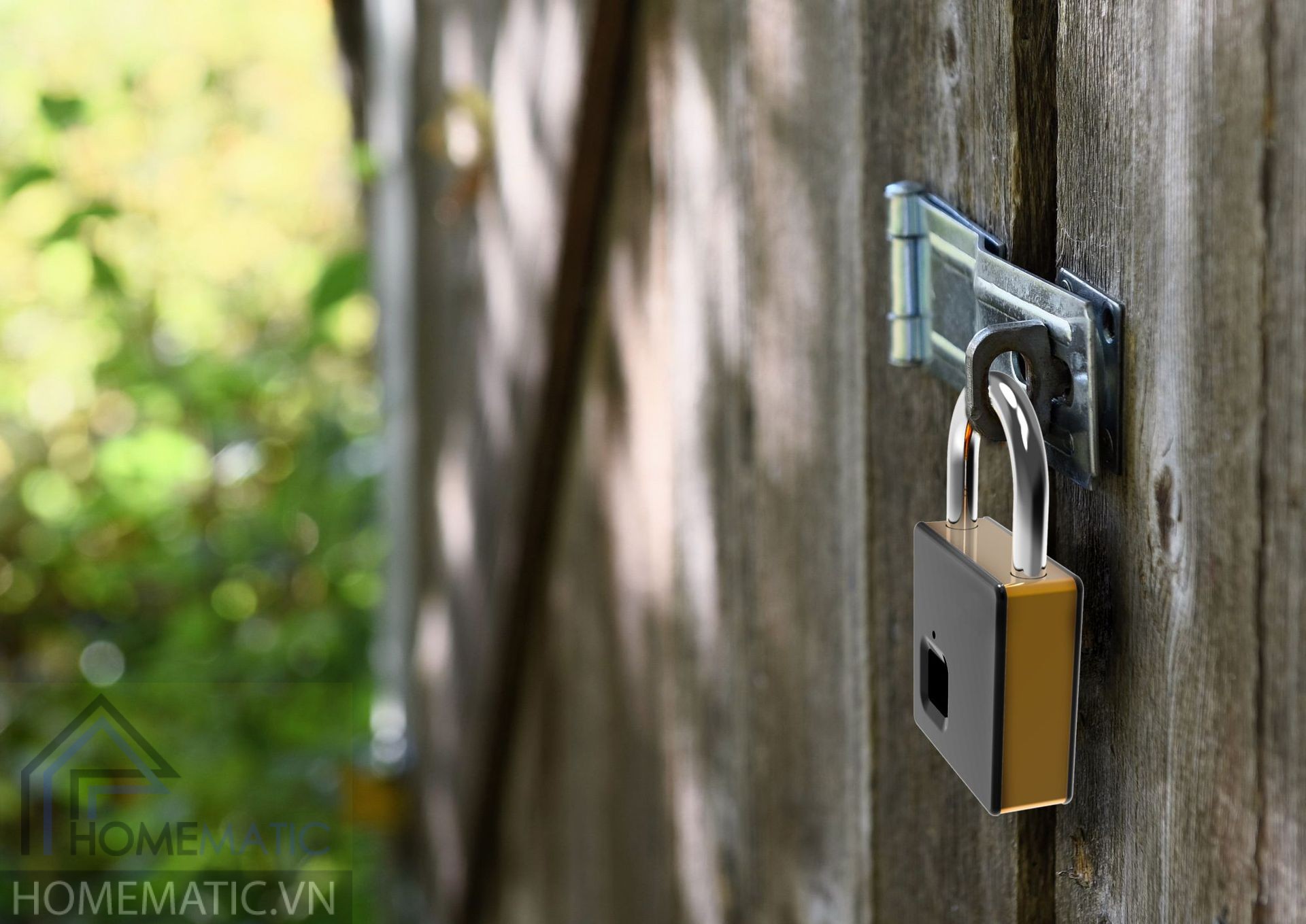 10715811459_1138927334