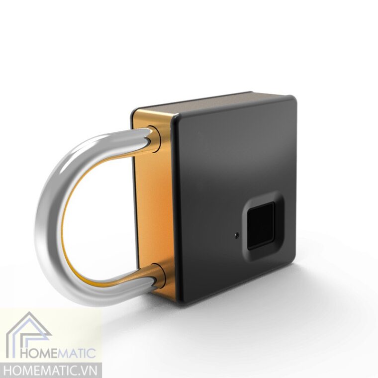 Khóa vân tay kèm chìa FPLS5