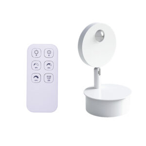 Đèn Tường Soi Tranh, đèn Spotlight Cao Cấp điều Khiển Từ Xa B259