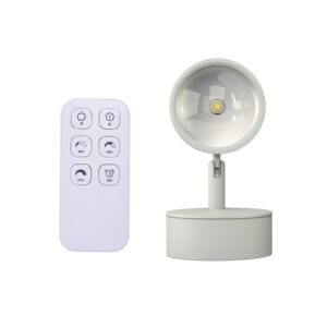 Đèn Tường Soi Tranh, đèn Spotlight Cao Cấp điều Khiển Từ Xa B259