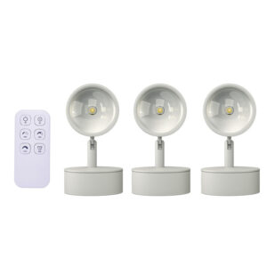 Đèn Tường Soi Tranh, đèn Spotlight Cao Cấp điều Khiển Từ Xa B259