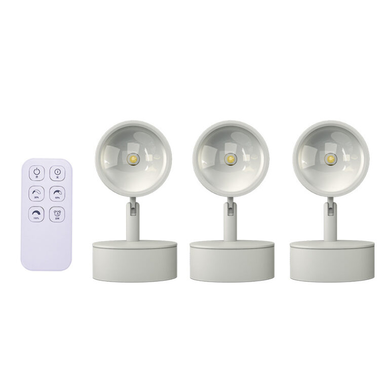 Đèn Tường Soi Tranh, đèn Spotlight Cao Cấp điều Khiển Từ Xa B259