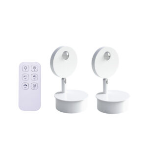 Đèn Tường Soi Tranh, đèn Spotlight Cao Cấp điều Khiển Từ Xa B259