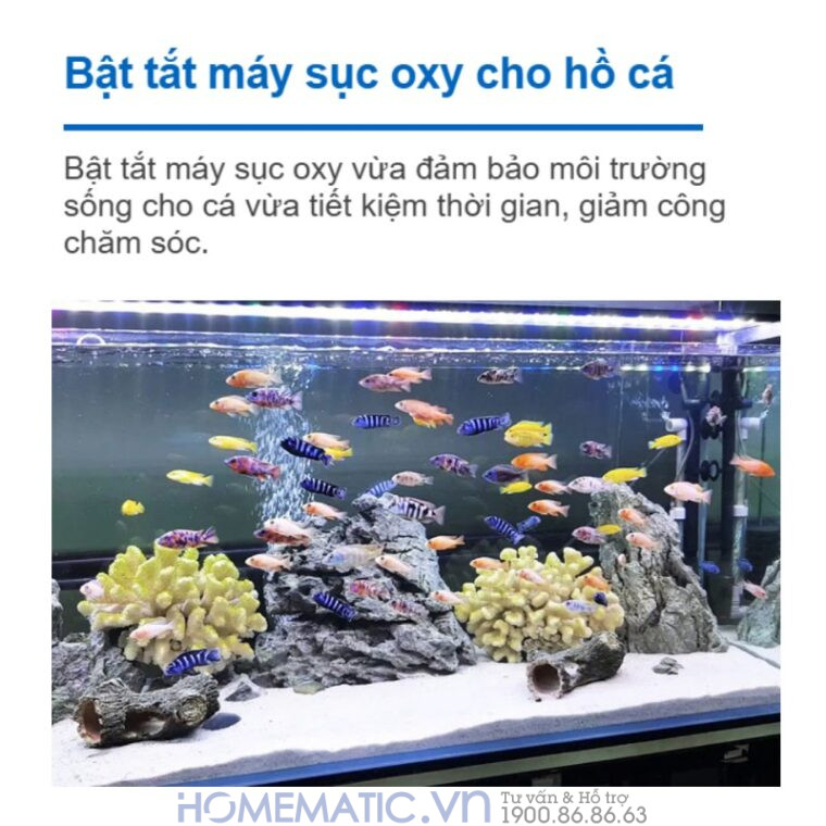 Hộp Công Tắc Hẹn Giờ Tắt Bật Luân Phiên Homematic Tcs11