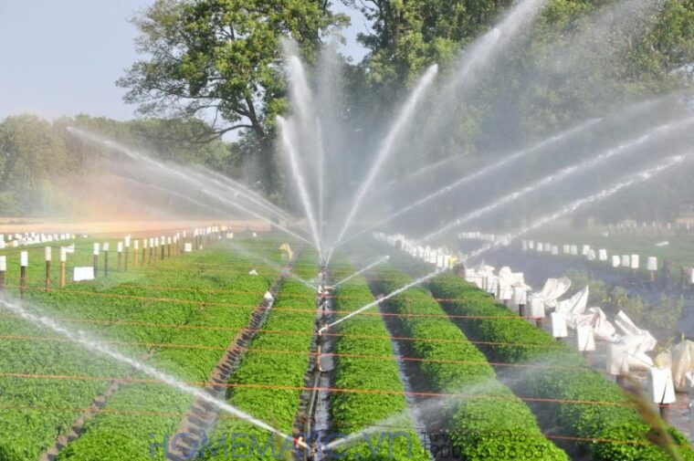 ứng dụng của công tắc điều khiển từ xa lên hệ thống tưới cây