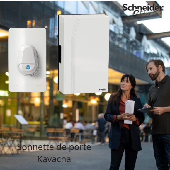 Chuông điện Schneider Electric Bộ Chuông Cửa Có Dây A3031wbp