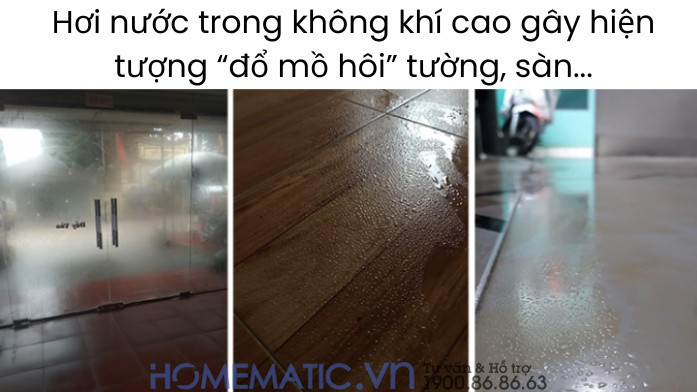 Hơi nước trong không khí cao gây hiện tượng đổ mồ hôi